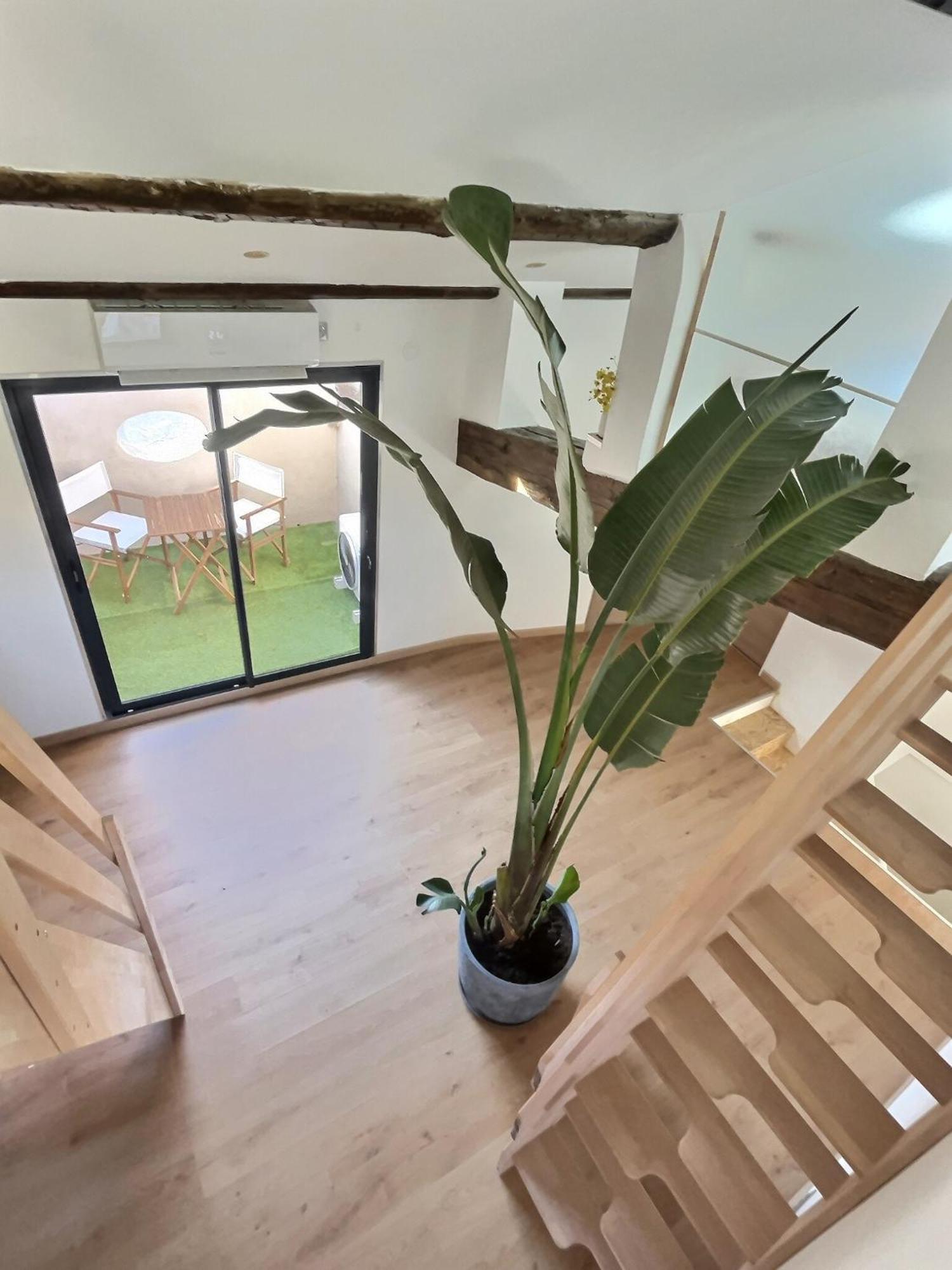 Jungle Loft Beziers Centre Lägenhet Exteriör bild