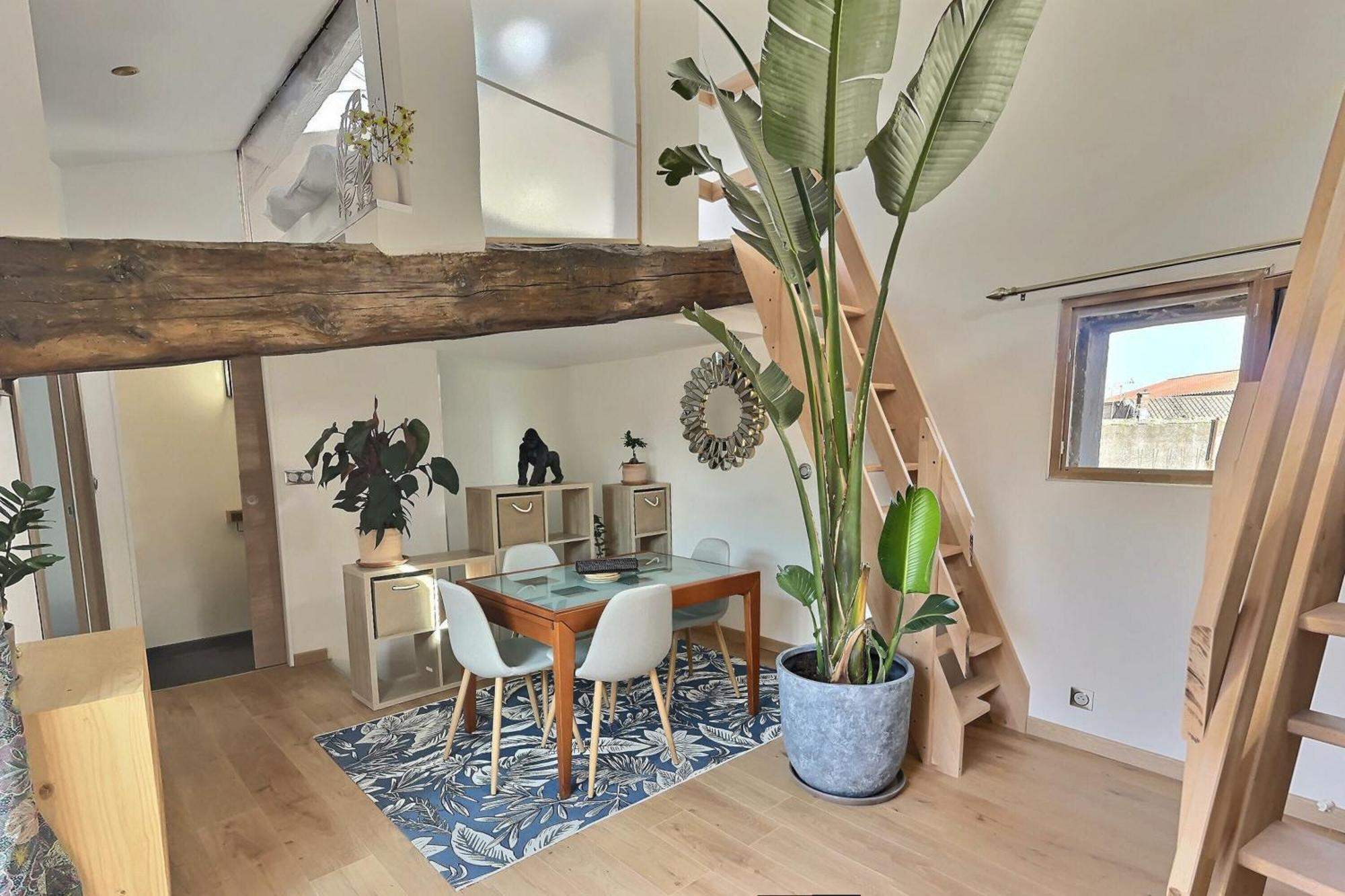 Jungle Loft Beziers Centre Lägenhet Exteriör bild